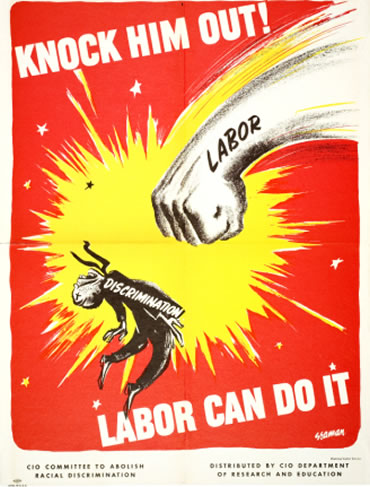 The Labor Law Firm